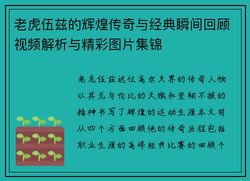 老虎伍兹的辉煌传奇与经典瞬间回顾视频解析与精彩图片集锦