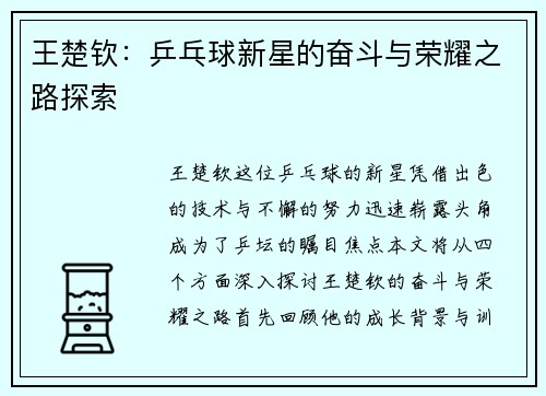 王楚钦：乒乓球新星的奋斗与荣耀之路探索